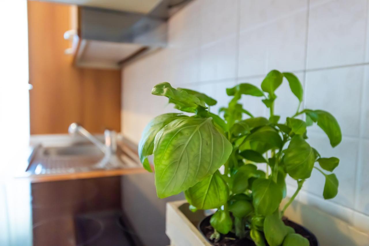 Appartement Le Rive Del